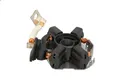 Produktbild: Halter, Kohlebürsten BOSCH 2 004 336 237