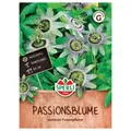 Produktbild: Sperli Passionsblumen
