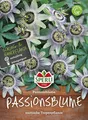 Produktbild: Passionsblume Sperling´s Früchtetraum