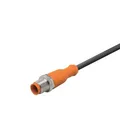 Produktbild: Ifm Electronic EVC550 Verbindungsleitung Stecker, gerade 3m Polzahl Sensoren: 5 1St.