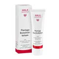 Produktbild: Plantago Bronchialbalsam 30 g Salbe