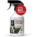 Produktbild: ReaVET Parasitenspray Insektenspray XL AKUT - gegen ALLE Parasiten für Hunde & Tierumgebung 500ml I Abwehr von Zecken, Flöhe, Milben I Ungeziefer-Spray, Zeckenspray, Flohspray, Milbenspray