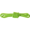 Produktbild: Salewa Ortles 6Mm vorgeschnittene Master Cord, Grün, 60