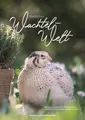 Produktbild: Wunderbare Wachtel-Welt
