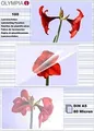 Produktbild: Olympia A5 (148 x 210 mm) 100 Stck. laminiertes