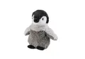 Produktbild: Warmies Beddy Bear Wärmekuscheltier MINIS Baby Pinguin Wärmekissen Körnerkissen