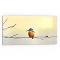 Produktbild: DEQORI Küchenrückwand 'Königsfischer auf Zweig', Glas Spritzschutz Badrückwand Herdblende beige 80 cm x 40 cm