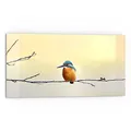 Produktbild: DEQORI Küchenrückwand Glas | Motiv Königsfischer auf Zweig | 80x40 cm | Bad- oder Herd-Rückwand | Herdblende Spritzschutz für Küche & Badezimmer | moderne Deko für Fliesenspiegel