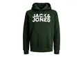 Produktbild: Jack & Jones Kapuzensweatshirt JJ Ecorp Logo Sweat Hood mit Markenschriftzug