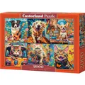 Produktbild: Castorland Puzzle 2000 pieces Choose Your Pet (2000 Teile) (160449)