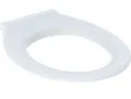 Produktbild: Geberit WC-Sitzring Renova Comfort barrierefrei antibakt.m.edelst.Scharnierwelle