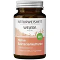 Produktbild: Naturweisheit - Meine Bakterienkulturen 40 Kapseln 22,9g