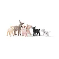 Produktbild: Farm World | Bauernhof Tiere Set 77534 mit Hund, Schwein, Ziege, Schaf und Es...