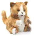 Produktbild: Kätzchen orange-braun / Orange Tabby Kitten - Folkmanis Puppets Handpuppe (2845)