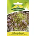 Produktbild: Pflücksalat, Eichenlaubsalat, Lactuca sativa crispa, ca. 500 Samen