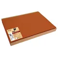 Produktbild: PROnappe Platzsets orange 30,0 x 40,0 cm, 100 St.