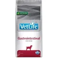 Produktbild: FARMINA Vet Life Dog Gastrointestinal 12kg