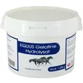 Produktbild: Gelatine Hydrolysat Equus Vet 1000 G