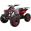 Produktbild: Actionbikes Motors Quad ATV S-10 125 cc | 4-Takt 125ccm Motor bis 𝟓𝟎 km/h - Pocket Quad - Miniquad - Benzinquad - Benzin Quads - Fahrzeug für Jugendliche (Metallic/Rot)