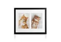 Produktbild: bomoe Bilderrahmen Bilderrahmen Galeria für 2 Fotos, 13x18cm, Schwarz, Kunststoffglas, Metall-Aufhängung & Passepartout Multirahmen Holz