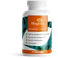 Produktbild: ProFuel Magnesium L-Threonat Magtein® (120 Kapseln) Kapseln, 81 g