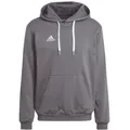 Produktbild: Adidas Entrada 22 Hoodie - grau