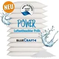 Produktbild: 10x 1kg Luftentfeuchter Prills Nachfüllpack im Vliesbeutel für Granulat Raumentfeuchter Box 900g - 1000g - 1,2kg - EFFEKTIV & SCHNELL - Trockner