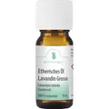 Produktbild: Ätherisches ÖL Lavandin Grosso 10 ml