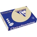 Produktbild: Clairalfa 1203C Universal-Papier Trophée A4 120 g/qm chamois