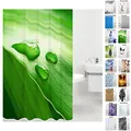 Produktbild: Sanilo Duschvorhang, viele schöne Duschvorhänge zur Auswahl, hochwertige Qualität, inkl. 12 Ringe, wasserdicht, Anti-Schimmel-Effekt (Green Leaf)