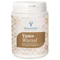 Produktbild: Evolution Yams Wurzel 109mg Diosgenin Kapseln 90St.