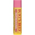 Produktbild: Burt's Bees Pink Grapefruit (Lippenbalsam) (01451-14)