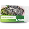 Produktbild: e-nema 10 Mio. Nematoden gegen Engerlinge nema-green