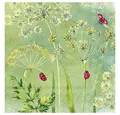 Produktbild: IHR Papierserviette Marienkäfer, (20 St), 33 cm x 33 cm
