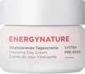 Produktbild: ANNEMARIE BÖRLIND ENERGYNATURE Vitalisierende Tagescreme 50 ml