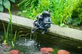 Produktbild: Ubbink Wasserspeier Frosch 2