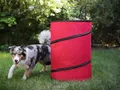 Produktbild: Procyon Agility-Hürde Hoopers Tonne für Hundesport, Hundetraining ohne Sprünge, Agility, Strukturgewebe, (2-tlg)