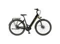 Produktbild: Prophete E-Bike Geniesser 6.0 City 28