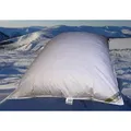 Produktbild: Betten Hofmann Winter Oberbett Daunen-Federbett Schüttelbett 155x220 cm 2600g Füllgewicht