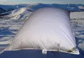 Produktbild: Winter Oberbett Daunen-Federbett Schüttelbett 155x220 cm 2600g Füllgewicht