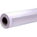 Produktbild: Epson Premium Semigloss Photo 40,6 cm x 30,5 m 255 g S 041743 (250 g/m², 30.5 x 40.6 cm) (C13S041743)