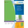 Produktbild: HERMA Ordneretiketten A4 (4299)
