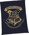 Produktbild: Wohndecke Harry Potter, Harry Potter, mit tollem Harry Potter Motiv, Kuscheldecke