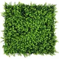 Produktbild: Jangal Wandpaneel Modular Wall Mixed Green Design Buxus 52 x 52 cm