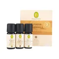 Produktbild: Primavera Aroma Sauna Kraft & Ruhe  3x10ml