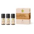 Produktbild: (463,33€/L) 30ml Primavera SET AROMA SAUNA Aufguss Konzentrat ätherische Öle