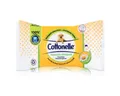 Produktbild: Cottonelle® feuchtes Toilettenpapier Cottonelle feuchtes Toilettenpapier Kamille & Aloe Vera 42 Tücher (1er