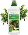 Produktbild: Purgrün Ficus-Ginseng-Dünger 1 Liter, Mineralischer Flüssigdünger (5+4+6)