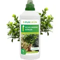 Produktbild: Purgrün Ficus Ginseng Dünger, NPK 5+4+6, stärkt Widerstandskraft, 1L