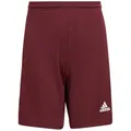 Produktbild: adidas Performance Trainingsshorts adidas Kinder Shorts Squadra 21 rot 152